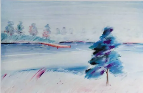 Winter Landscape with Evergreen