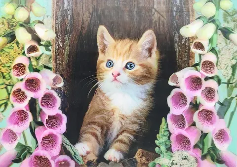 Kitten Among Foxgloves