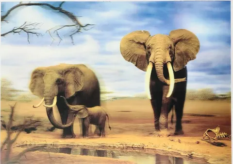 Elephants at Waterhole