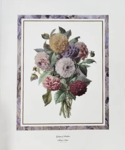 Group of Dahlias