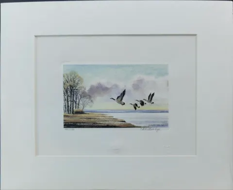 Limited Edition 403/750 Lithograph Print