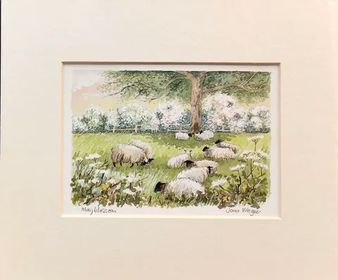 May Blossom - Countryside Sheep by Jane Wagner