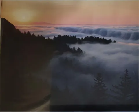 Morning Mist