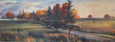 Chestnut Downs