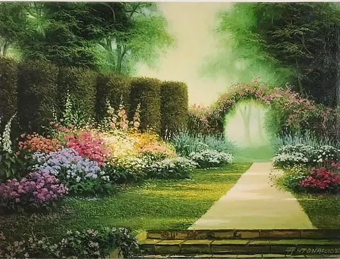 Graceful Resplendence