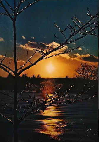 Golden Horizon – Winter Tree at Sunset (Poster Print)