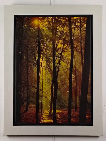 Autumn Forest Serenity – Poster Print