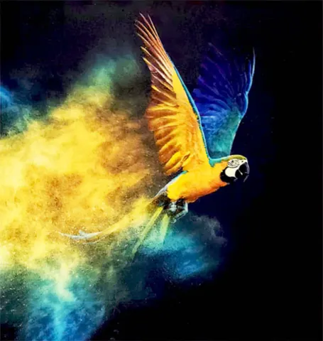 Blue‑and‑Yellow Macaw in Flight