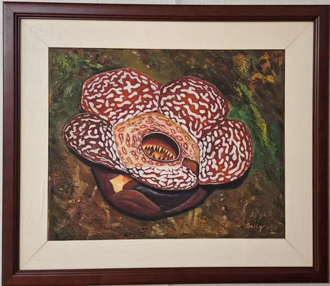 Rafflesia