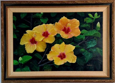 Yellow Hibiscus Flowers