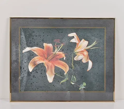 Orange Lily Study