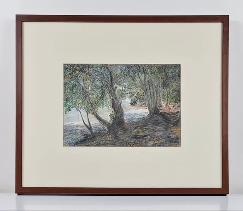 Forest Clearing with Sunlight