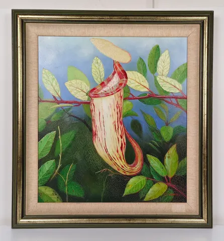 Framed Oil Painting - Tropical Intrigue: Nepenthes Pitcher Plant