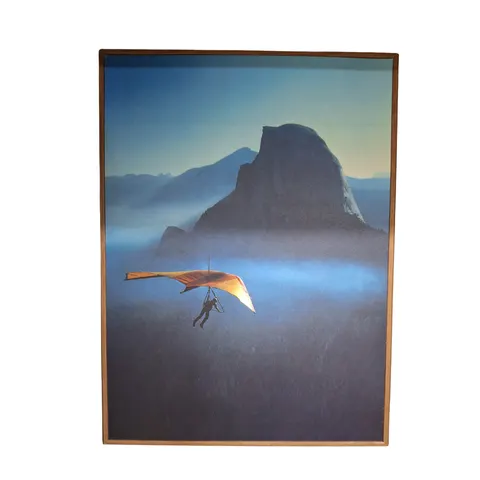 Soar In Solitude