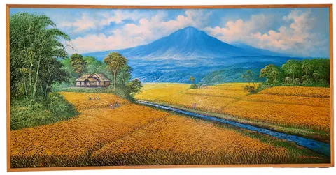 Padi Field Scenery