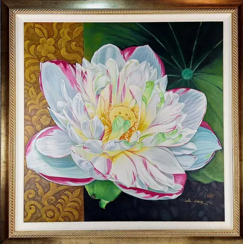 Water Lily