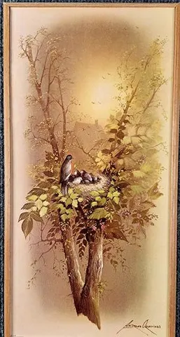 Robin's Nest