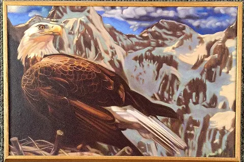Bald Eagle