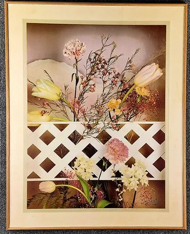 Tulip in shades of white andyellow and pink carnations