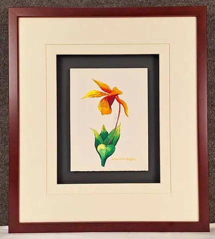 Watercolor Botanical – Epigenium longipes by Kim Peng (Framed)