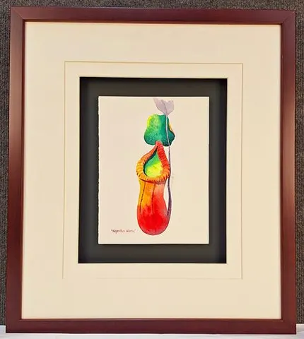 Watercolor Botanical – Nepenthes Villosa by Kim Peng (Framed)