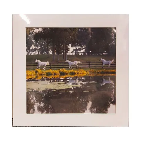 Untitled A-1-04-07