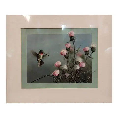 Hummingbird 1