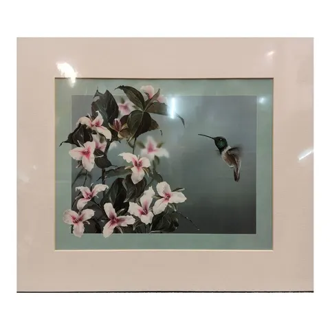 Hummingbird 2