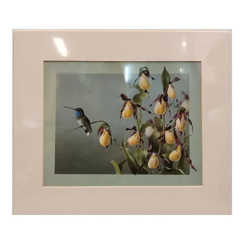 Hummingbird 3