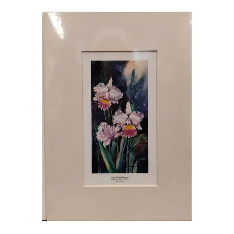 An Orchid Operetta