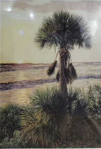 Palmetto Sunrise