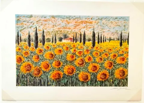 Girasoli