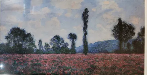 Field of Poppies