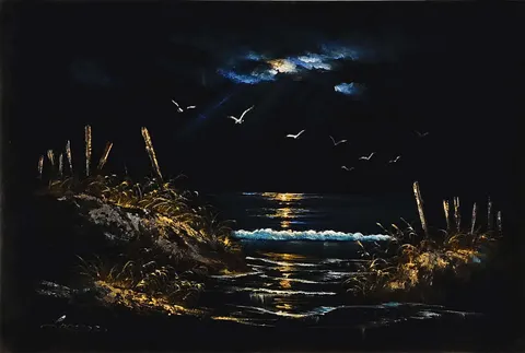 Moonlit Coastal Scene