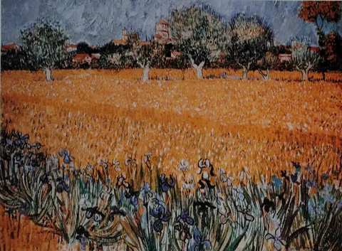 Arles With Irises