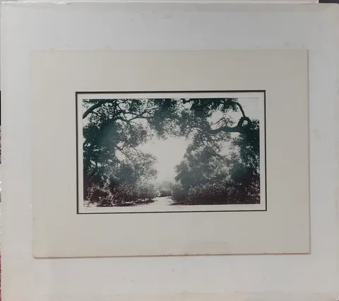 Untitled A-14-85