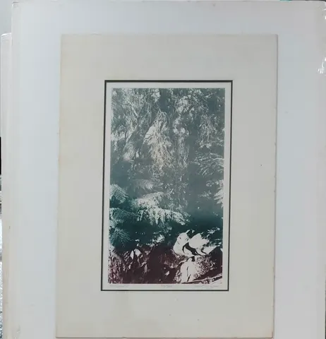 Untitled A-14-88
