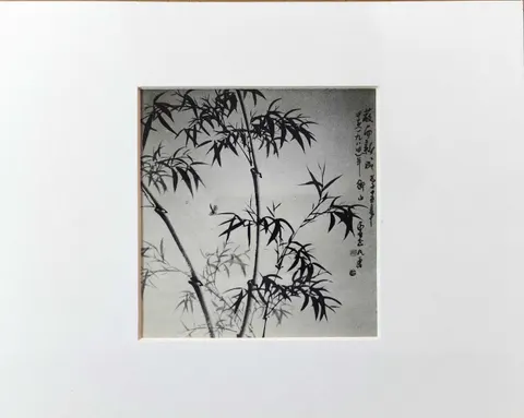 Untitled A-22-20
