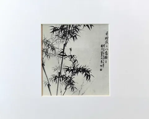 Untitled A-22-22