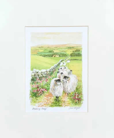 Sheep in Summer