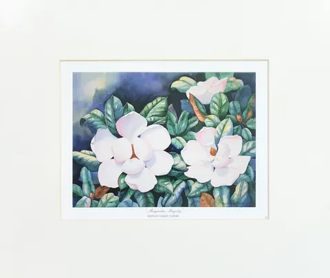 Magnolia Majesty