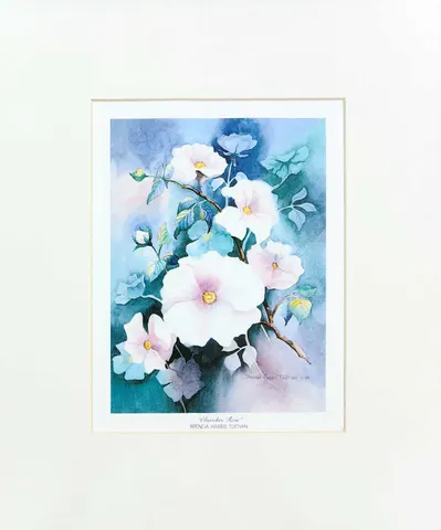 Cherokee Rose