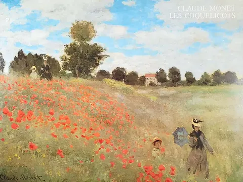Les Coquelicots