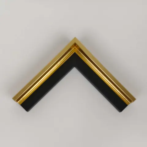 Gold Plastic Frame W-2-01