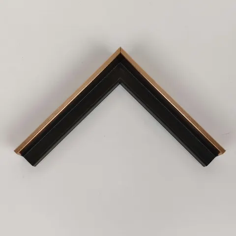 Gold Plastic Frame W-2-04