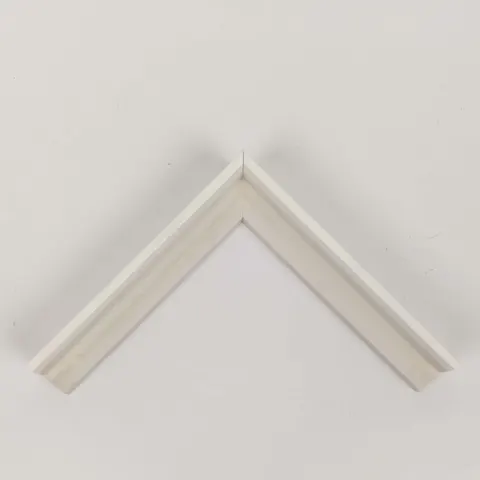 White Plastic Frame W-2-06